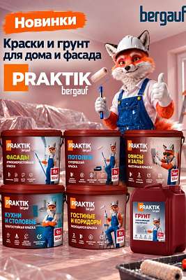 BERGAUF PRAKTIK - обновленная линейка красок